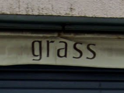 grass