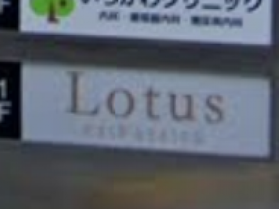 Lotus Hair Design 船橋店