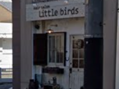 Hair salon Little birds