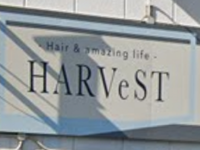 HARVeST Hair&amazing life