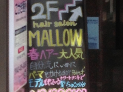 MALLOW