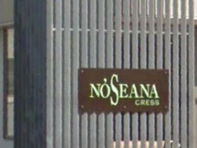 NOSEANA CRESS