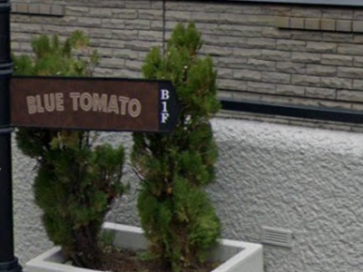 BLUE TOMATO