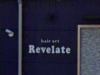 hair art Revelate