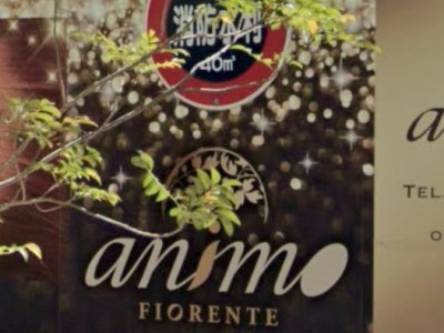 animo FIORENTE 南流山店