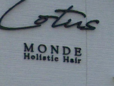 MONDE Holistic Hair Lotus