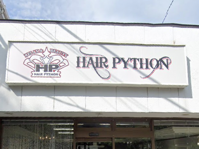 HAIR PYTHON