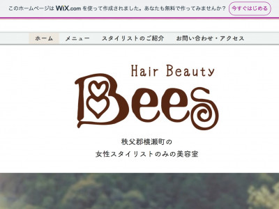 Hair Beauty Bees