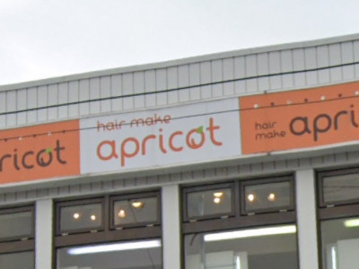 hair make apricot