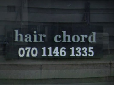 hair chord