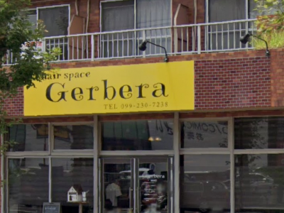 hair space Gerbera