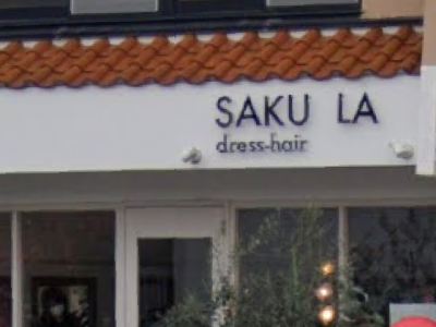 SAKULA dress-hair