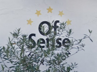 Of Sense