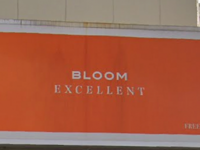 bloom　excellent