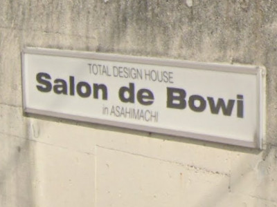 Salon de Bowi