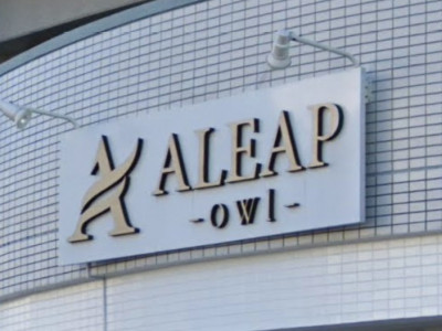 ALEAP owl