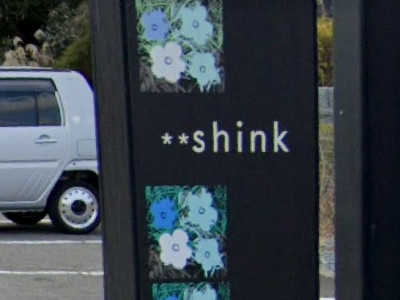 shink hair shop