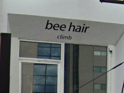 bee hair climb