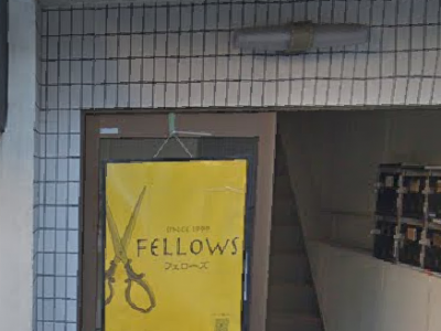 FELLOWS