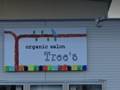 organicsalon trees