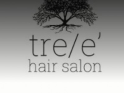 tre/e' hair salon