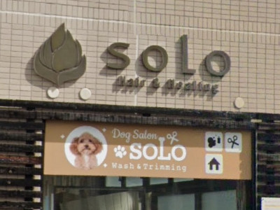 SOLO 天白本店