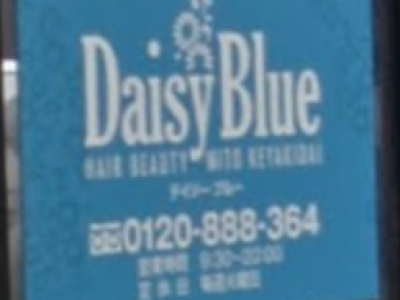 Daisy Blue