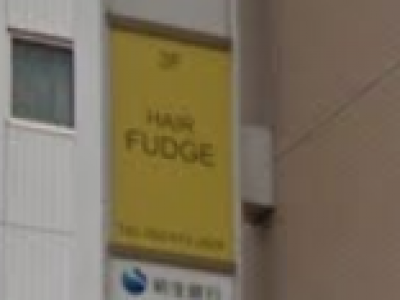 HAIR FUDGE