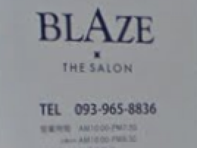 BLAZE THE SALON