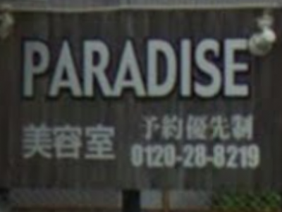 Paradise mao