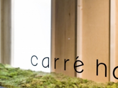 carre hair