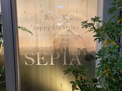 Color assort SEPIA 浦和店