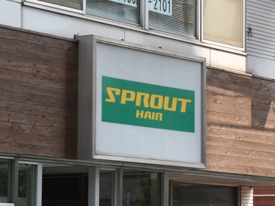 SPROUT 柏