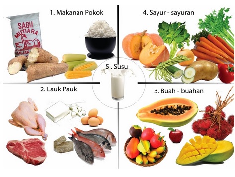 Makanan 4 Sehat 5 Sempurna : Contoh dan Manfaatnya - HaloSehat