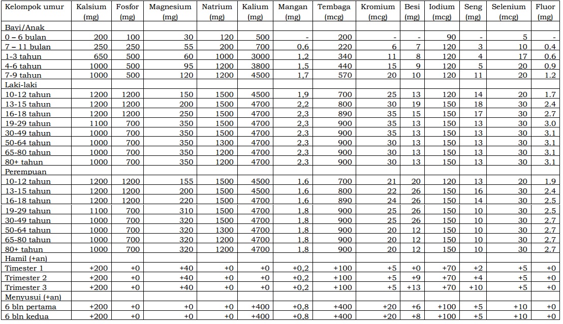 Kebutuhan Nutrisi Manusia Berdasarkan AKG Resmi - HaloSehat