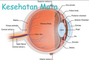 kesehatan mata