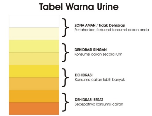 Air Seni Berwarna Kuning Penyebab Gejala Penyakit 