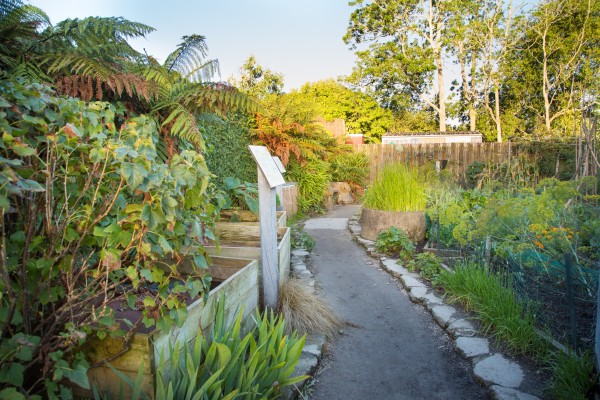 sustainable-backyard-hamilton-gardens