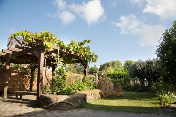 sustainable-backyard-hamilton-gardens