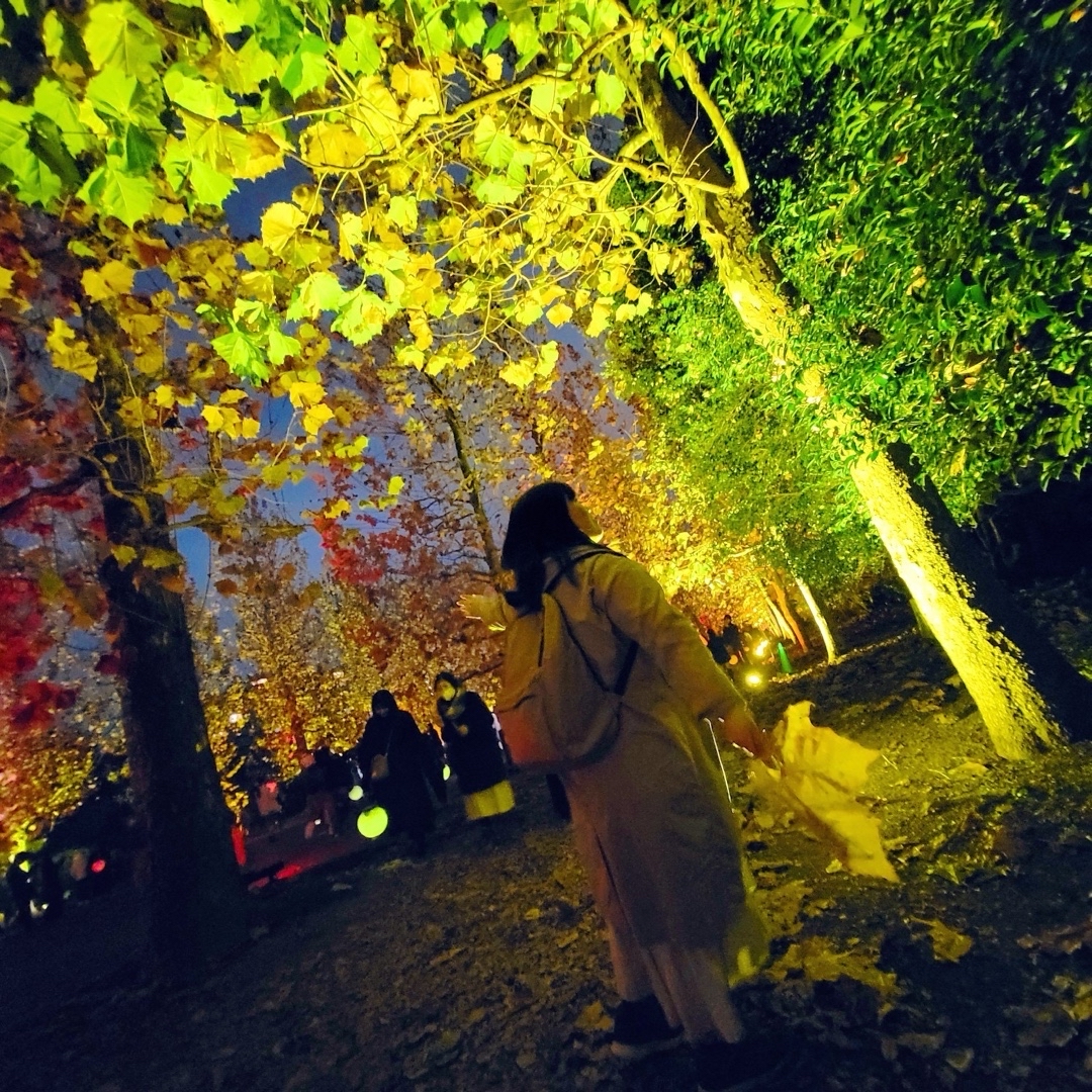 あきたこまち🌾Misaki Kumagai