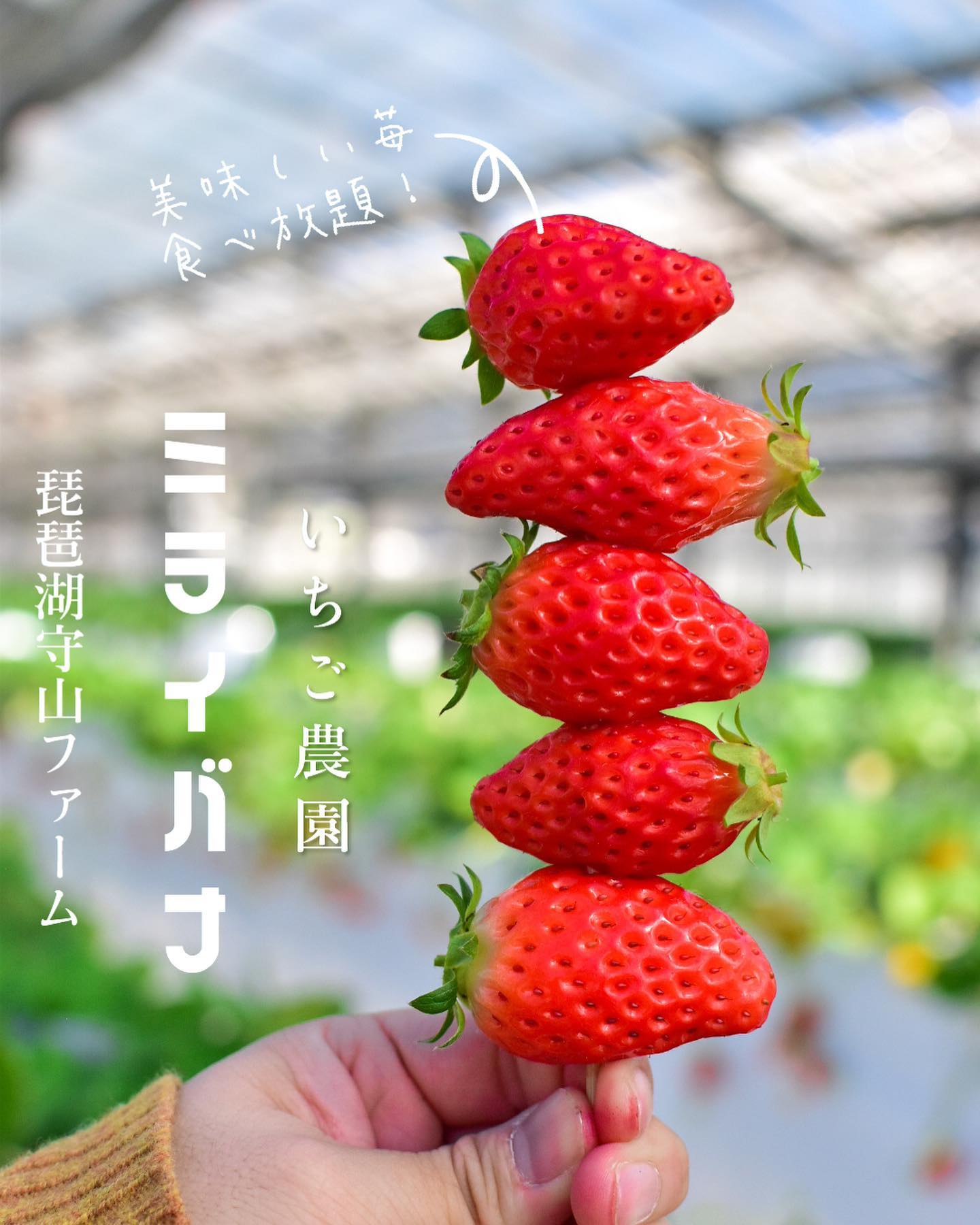 いちご農園ミライバナ びわ湖ファーム