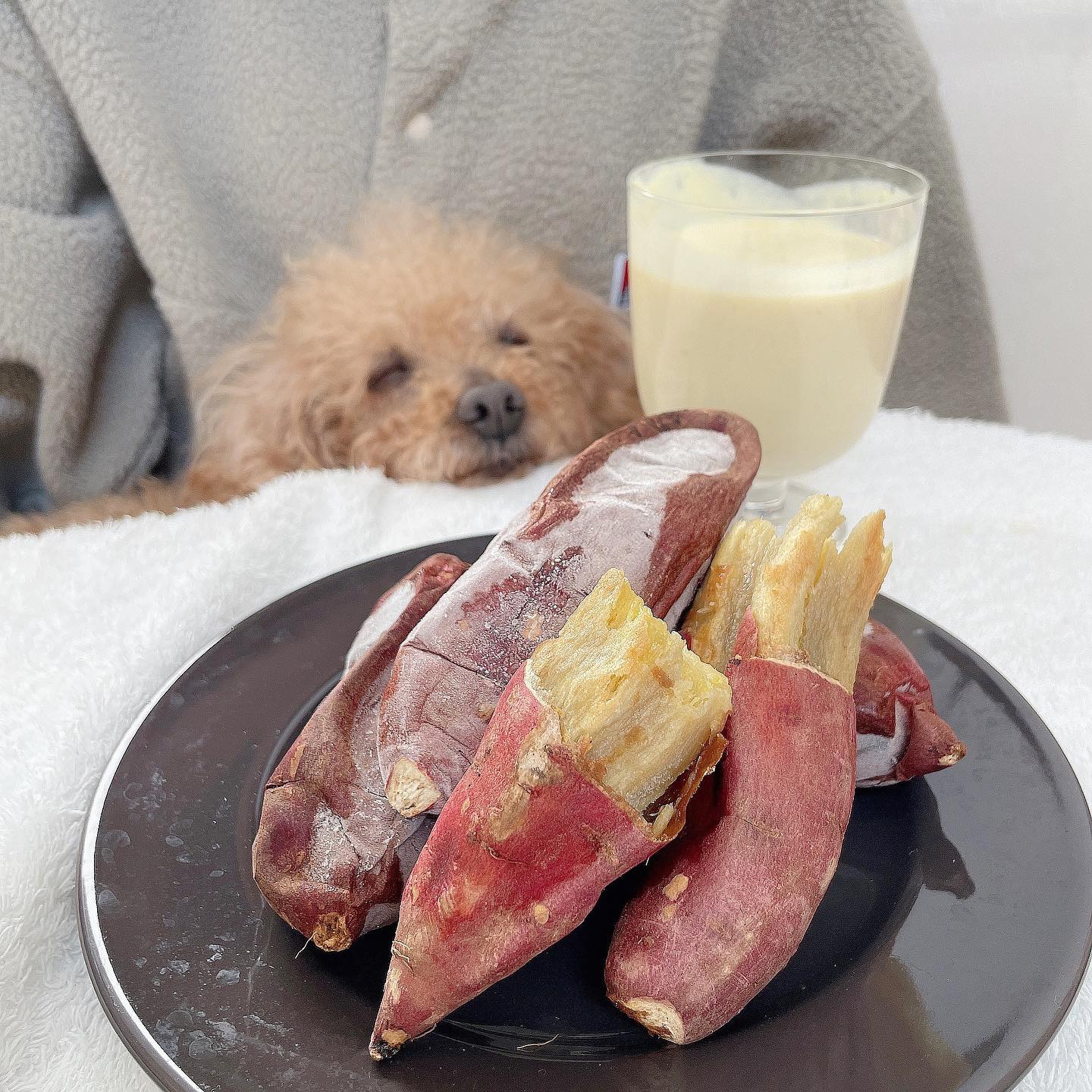 蔵出し焼き芋かいつか かすみがうら本店