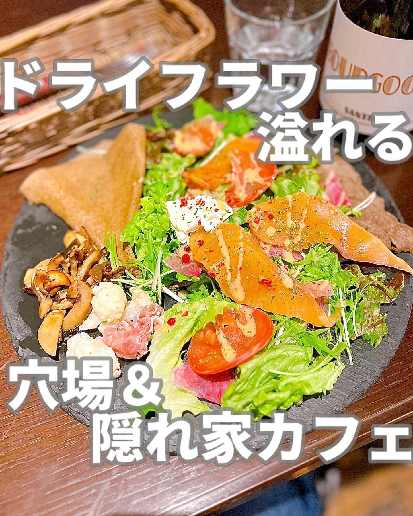 Lecoin キタサンドウ