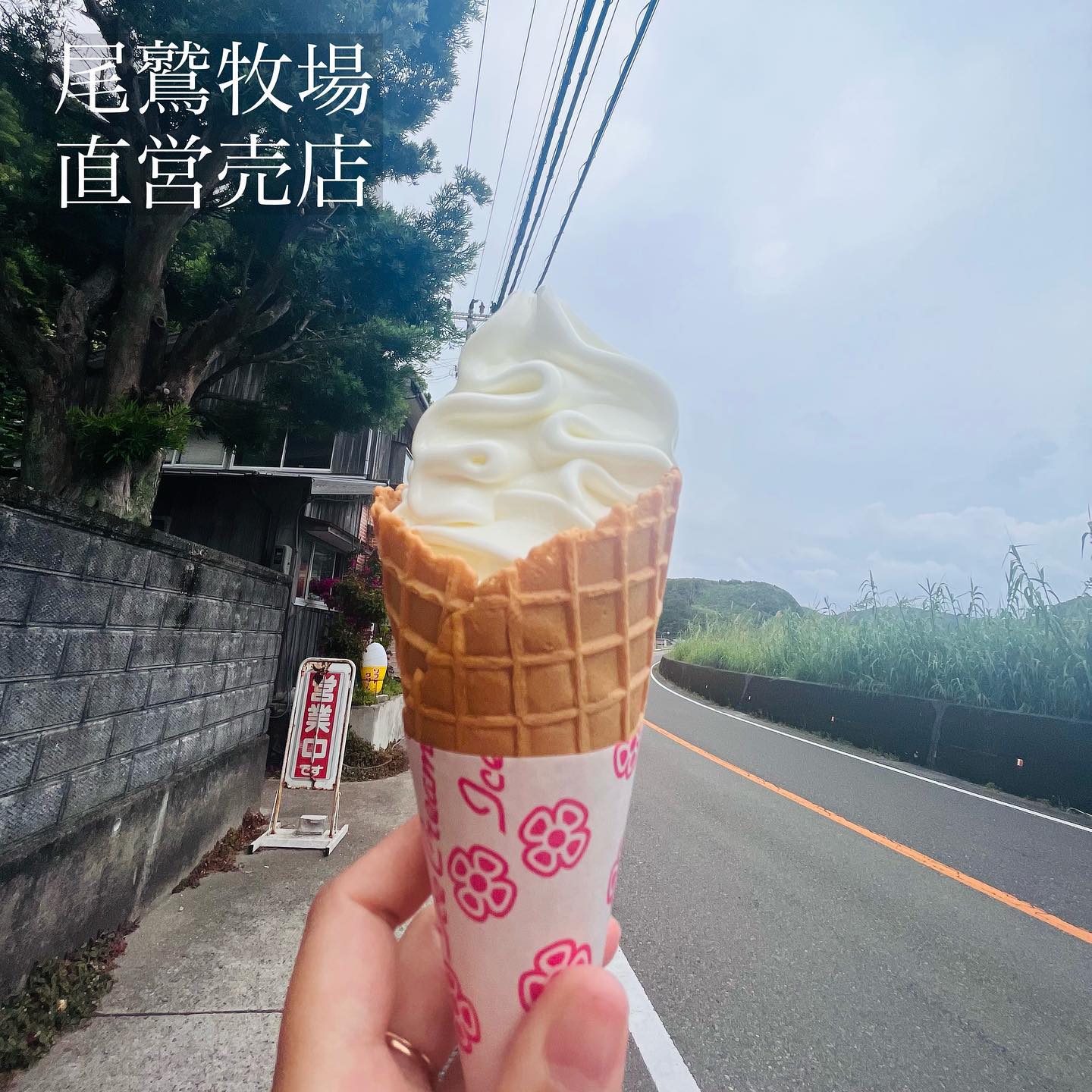 尾鷲牧場直営売店(尾鷲牛乳)