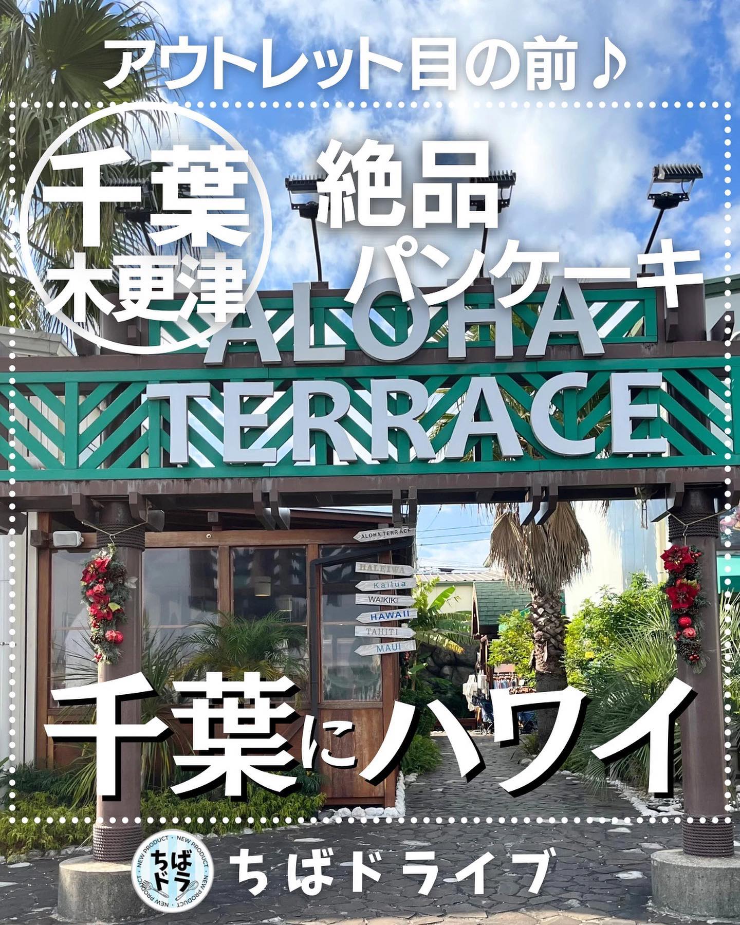 アロハテラス木更津