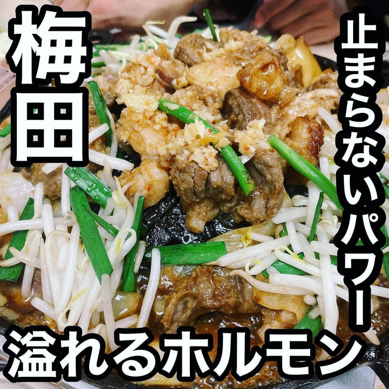 投稿画像 1