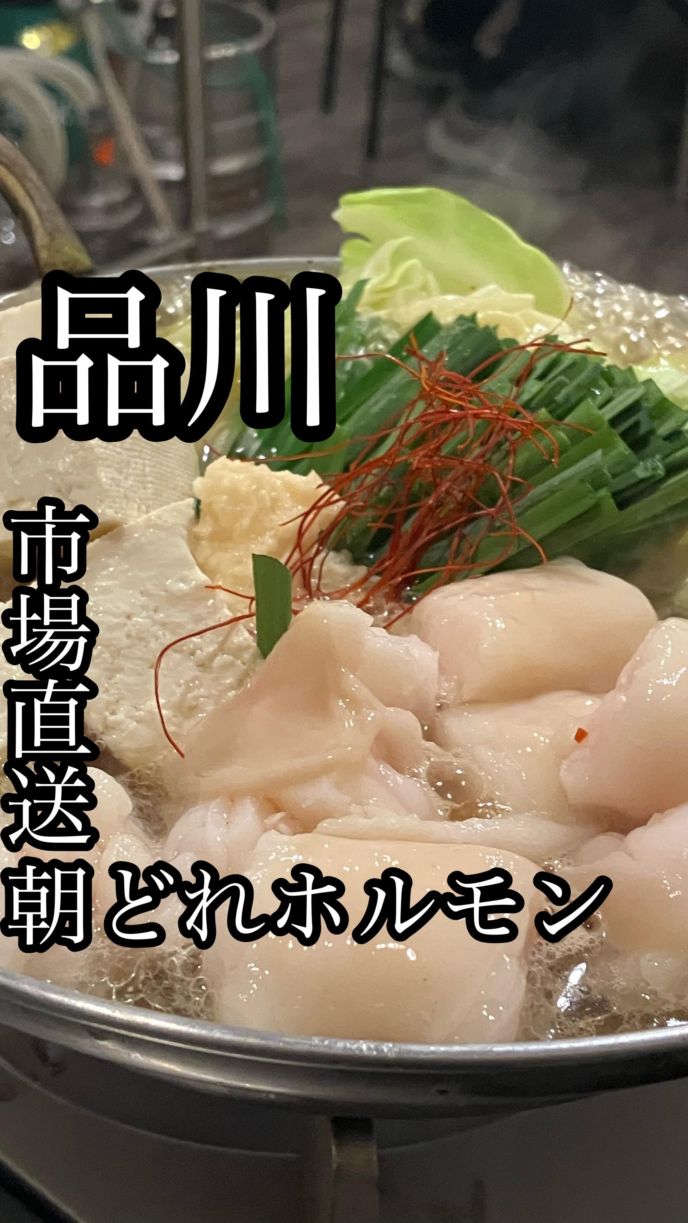 芝浦食肉市場直送 品川ホルモン