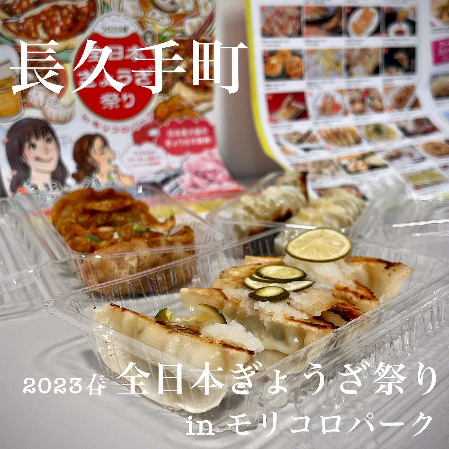 モリコロパーク 大芝生広場