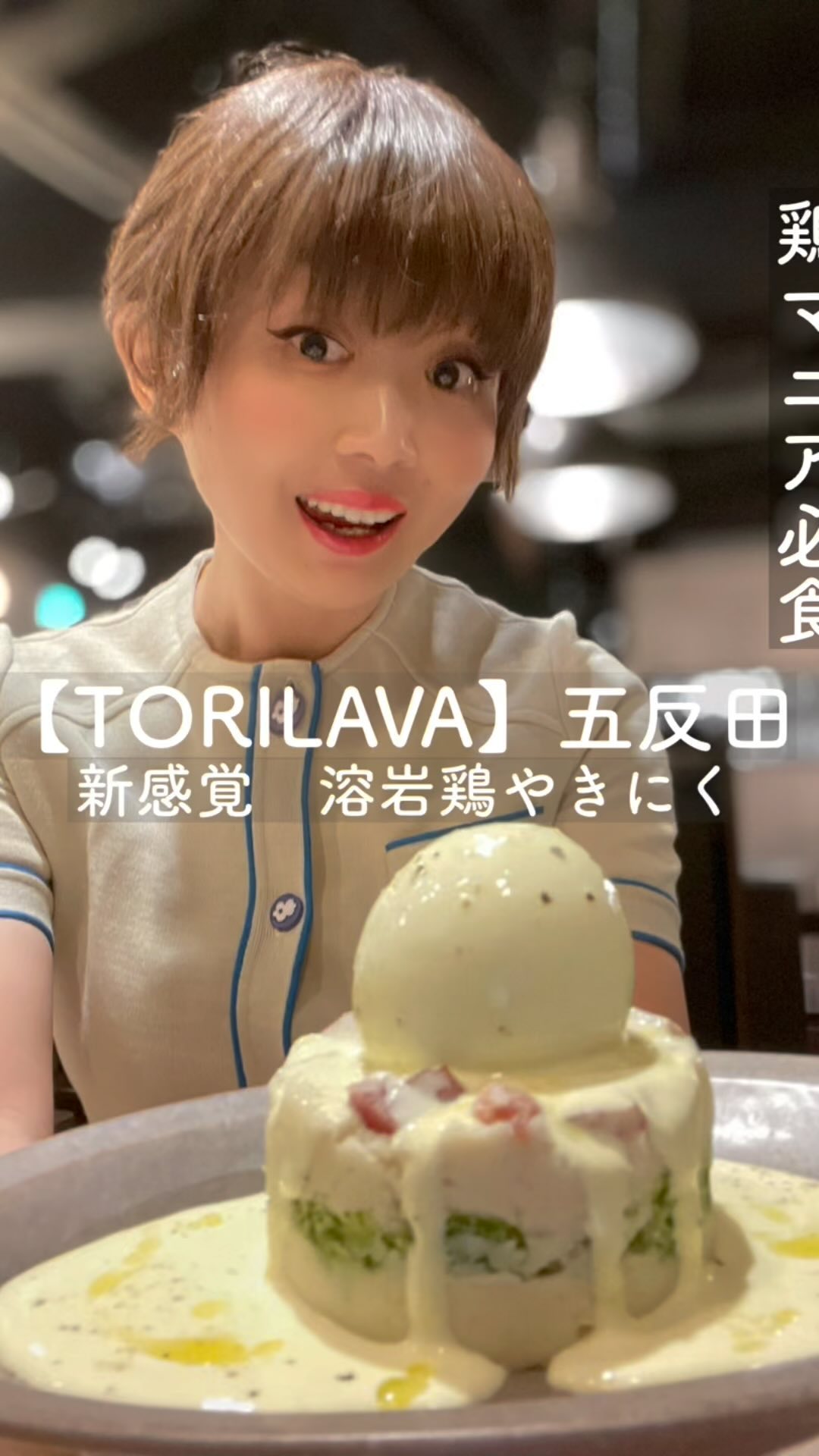 溶岩鶏やきにく TORILAVA