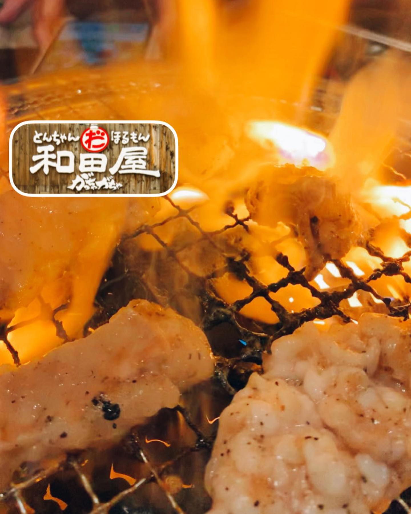 和田屋 がっちゃがちゃ